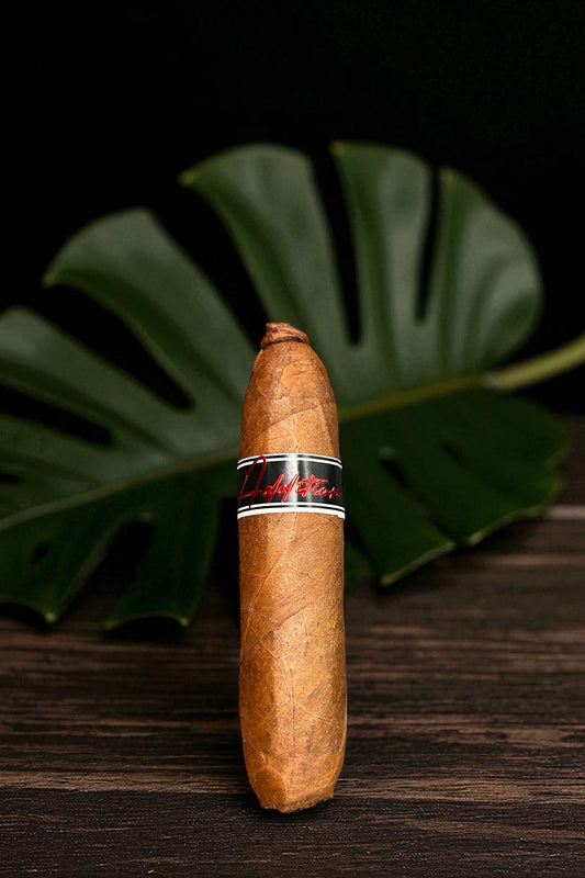 Scott’s Addition Habano Pigtail