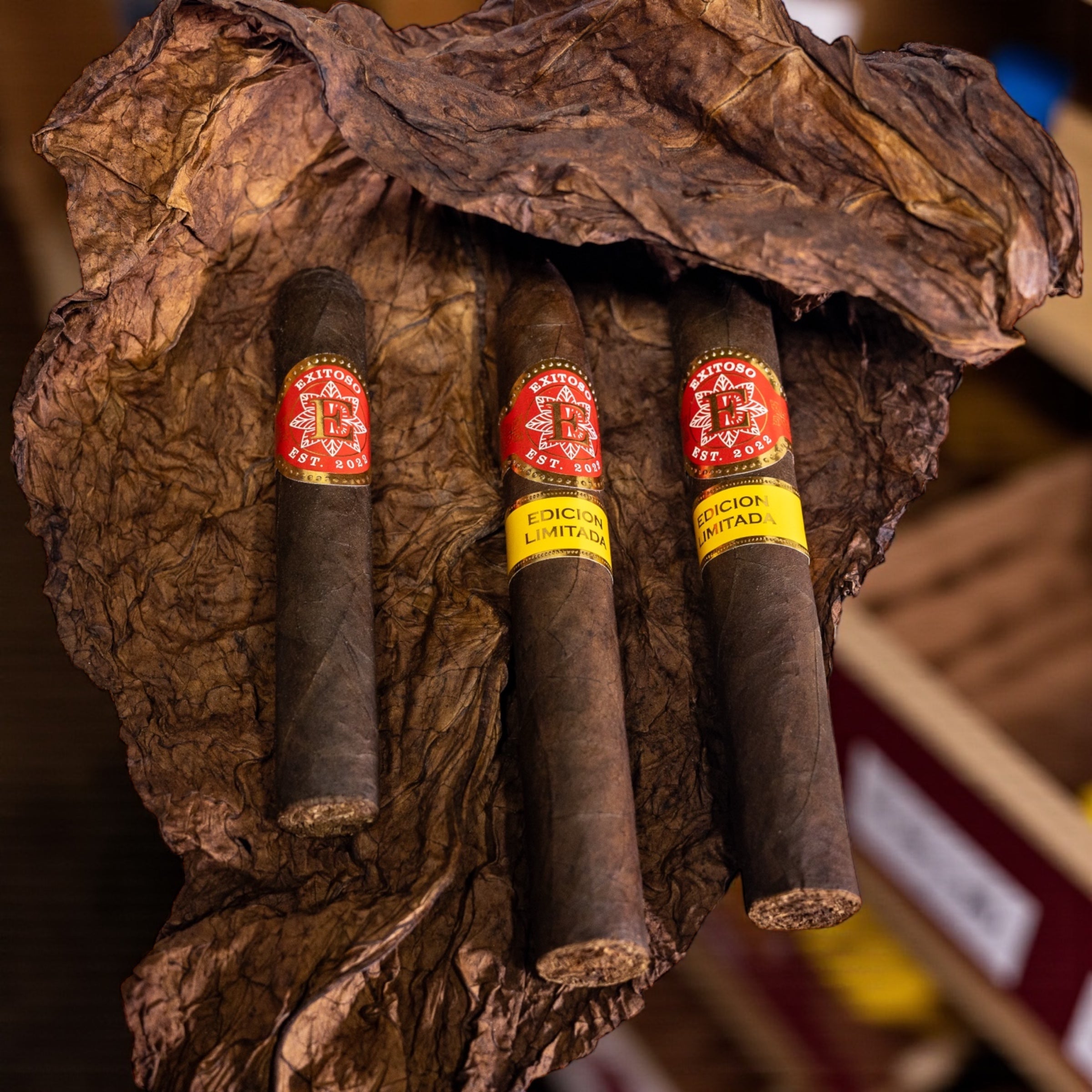 How to Taste a Cigar Like an Aficionado