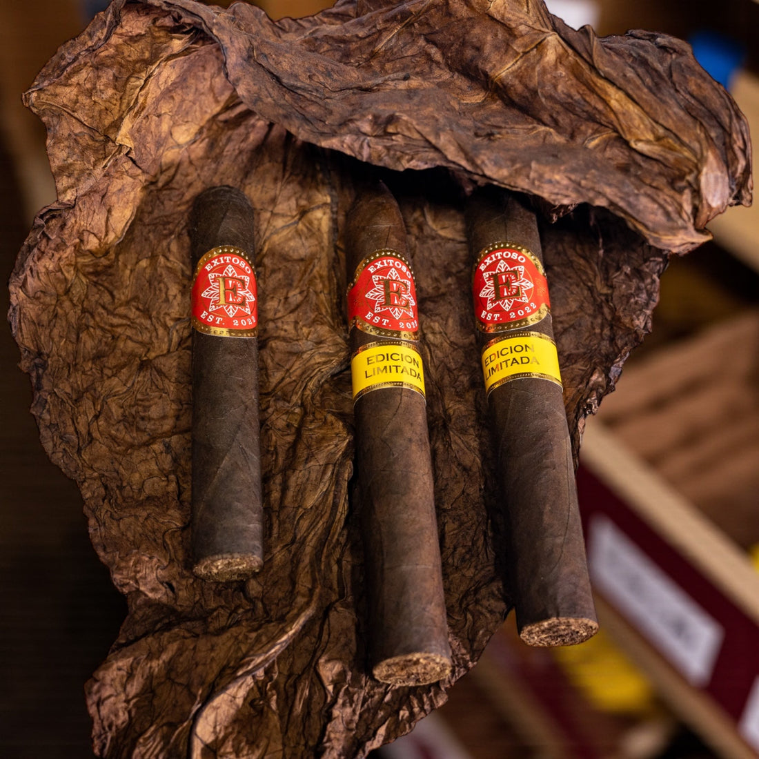Exitoso Cigars at the 2026 Miami Cigar Festival: Staying Close to the Pulse of the Industry
