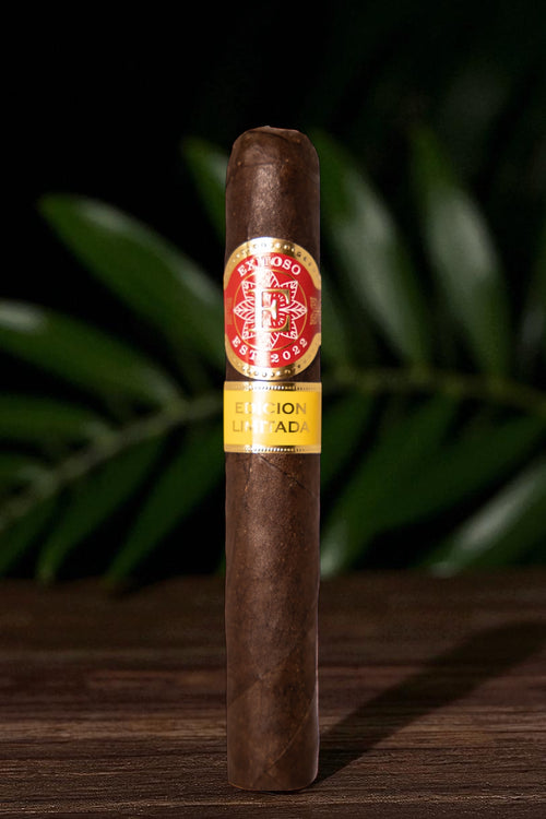 Exitoso Oscuro Maduro Gordo