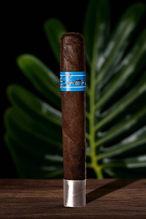 Scott’s Addition Azzure